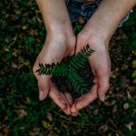 Master in Environmental Engineering | Etsi 