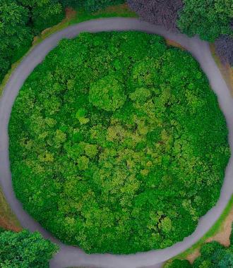 Cátedra Economía Circular | ETSI Sevilla